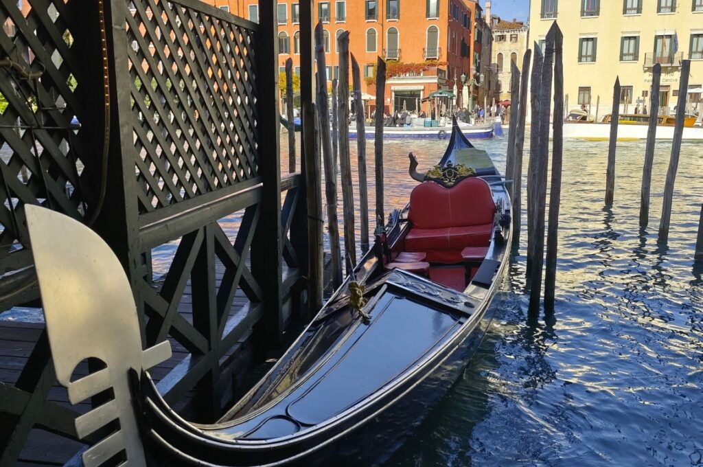 IMG_20251024_112433[1]