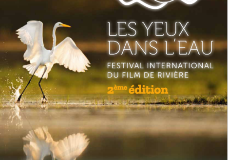 Affiche Festival les Yeux dans l'eau