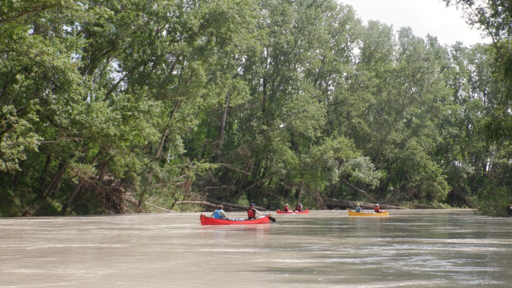 90-dscf6995-1024x576