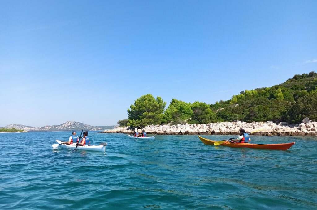 IMG_20230912_114616 IMG_20230912_114616