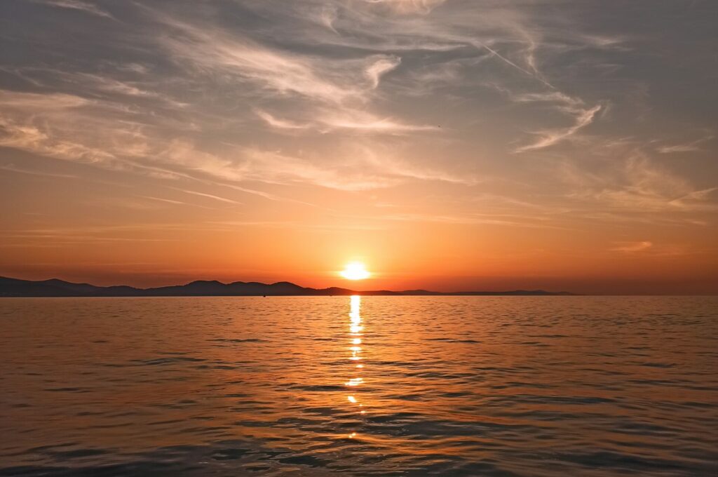 IMG_20230912_190207 IMG_20230912_190207