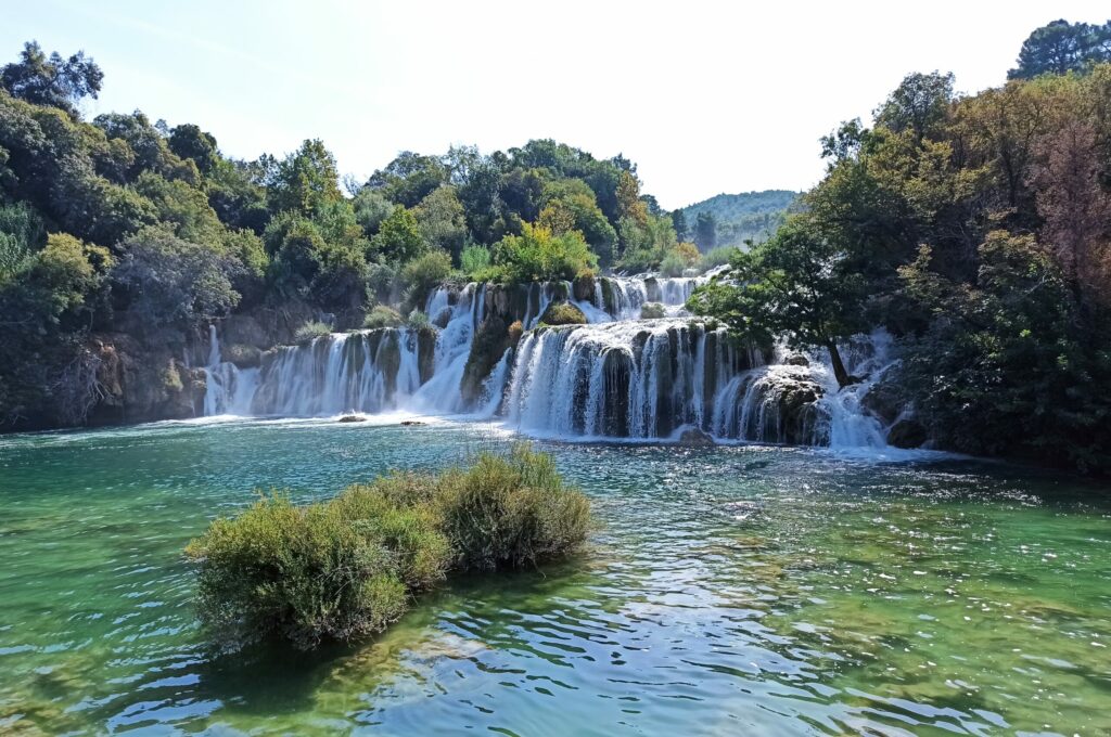 IMG_20230913_114704 IMG_20230913_114704