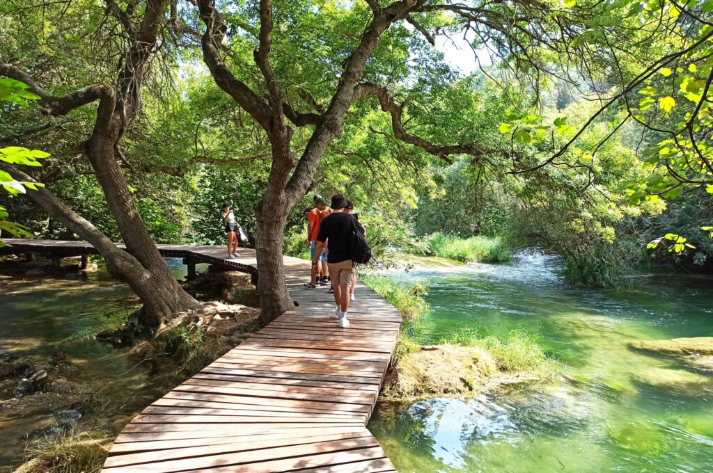 IMG_20230913_134030 IMG_20230913_134030