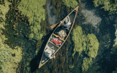 Capture-decran-2024-06-07-a-15.21.29-1-510x650