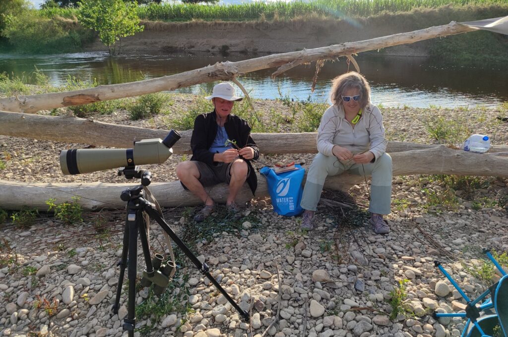 517246373_1285429880254828_8674846067341382036_n