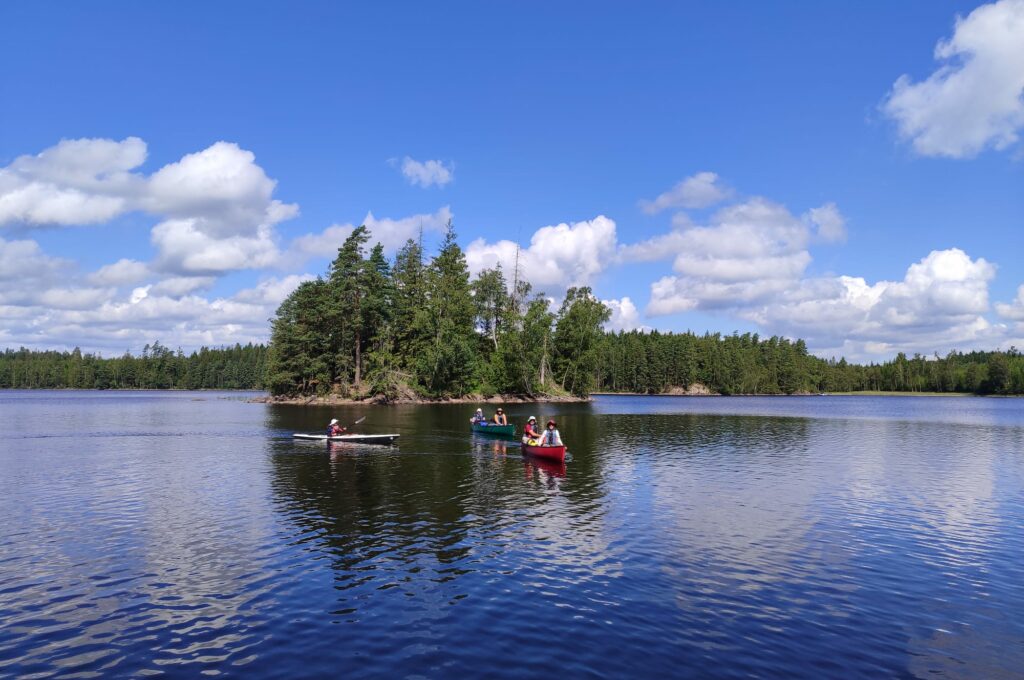 IMG-20251114-WA0003(1)