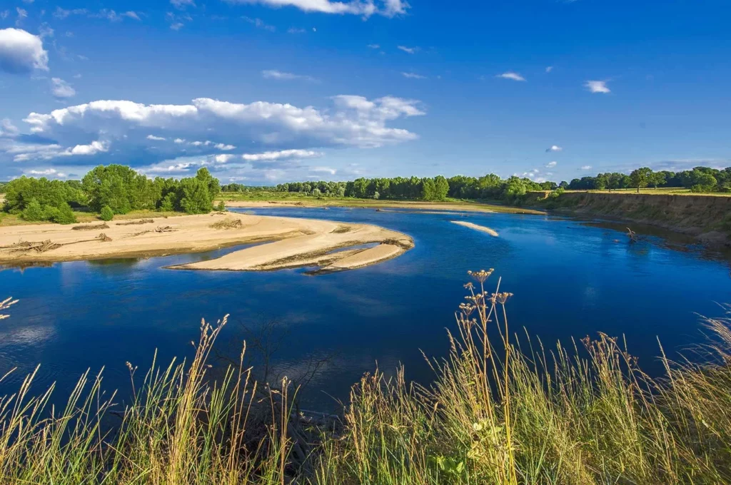 La-reserve-naturelle-du-val-d-Allier_LFB