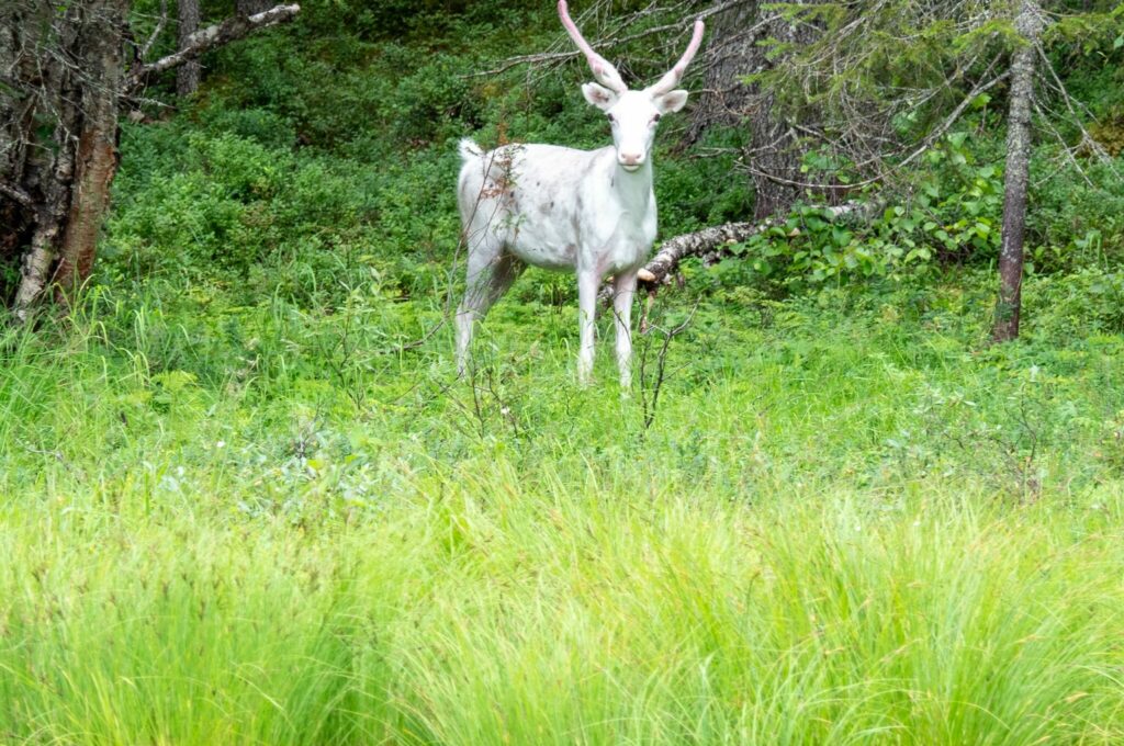 © Paul Villecourt / outdoor-reporter.com