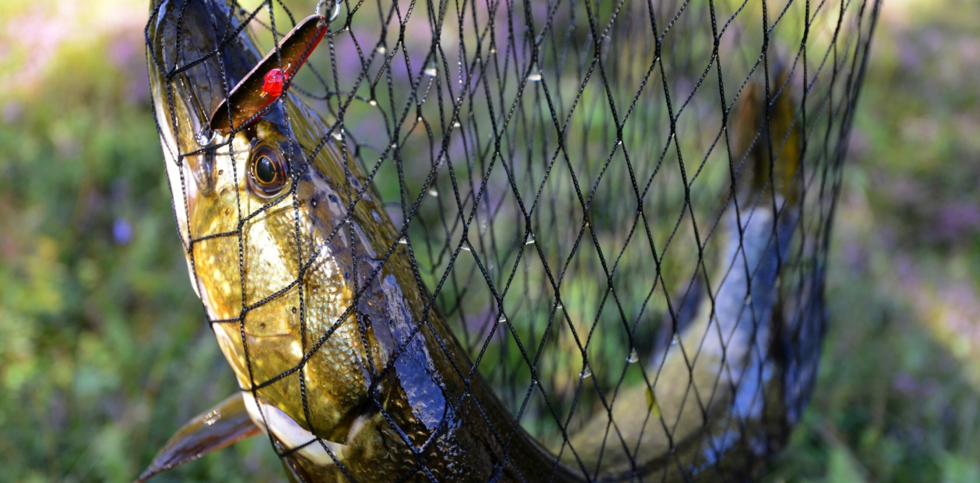 Ivalojoki (Finlande), Vanessa Beucher