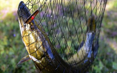 Ivalojoki (Finlande), Vanessa Beucher
