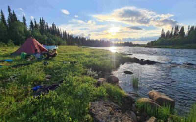 20250730_194752 - Copie 20250730_194752 - Copie